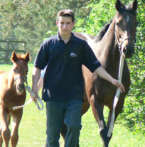 THOROUGHBRED BREEDERS ASSOCIATION